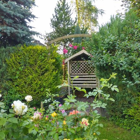 Mountain Ash Bed & Breakfast Хорнкасъл Екстериор снимка
