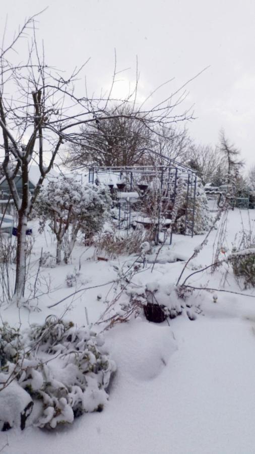 Mountain Ash Bed & Breakfast Хорнкасъл Екстериор снимка