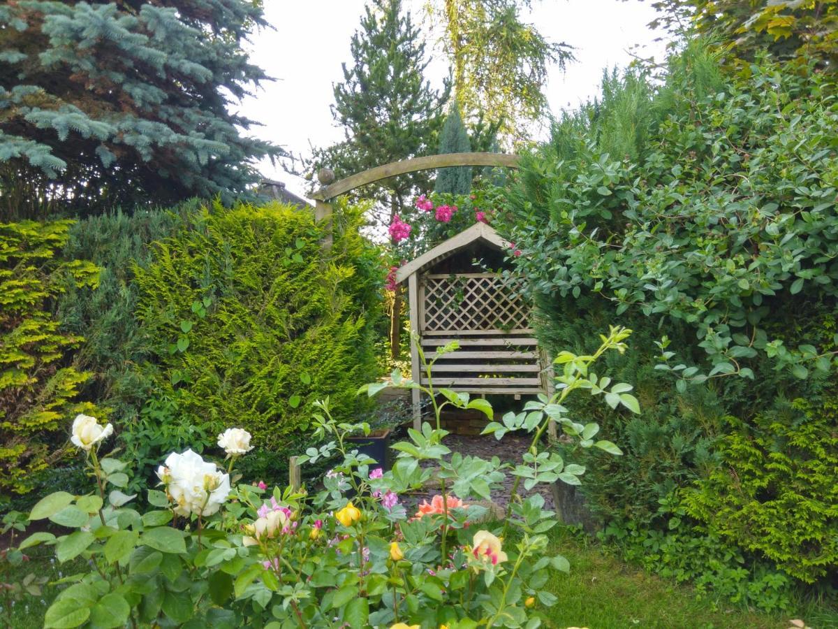 Mountain Ash Bed & Breakfast Хорнкасъл Екстериор снимка